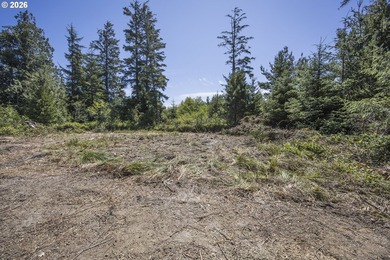 Nice 6+ acre building site on Northside of Siltcoos Lake with - photo 43