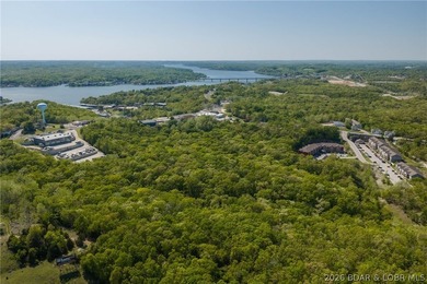Prime Lake Ozark Development Opportunity Positioned in the heart - photo 9
