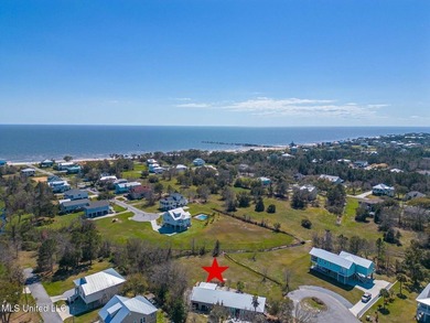 Beautiful cleared lot in Waveland. Located at the end of a - photo 7
