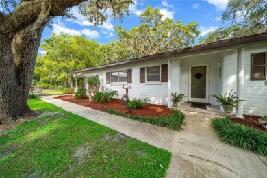 Long Lake - Marion County Home For Sale in Ocklawaha Florida