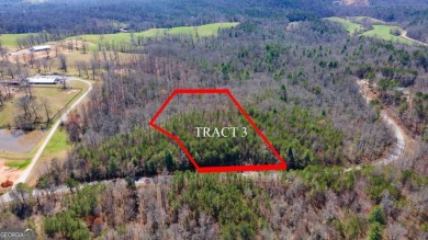 (private lake, pond, creek) Acreage For Sale in Dawsonville Georgia