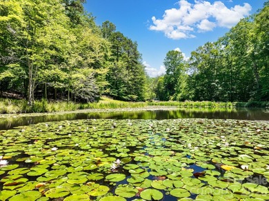 A rare opportunity awaits to own this gated 26-acre estate - photo 6