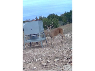(private lake, pond, coastal) Acreage For Sale in No City Texas