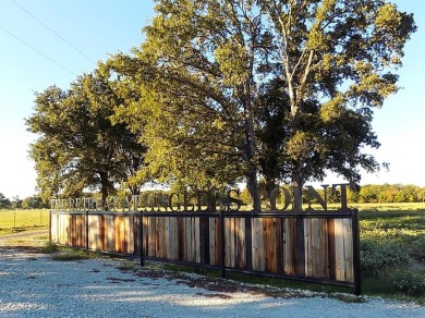 Lake Lot For Sale in Emory, Texas
