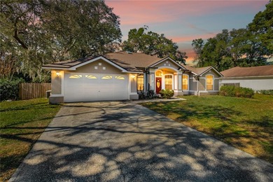 Lake Coroni Home Sale Pending in Apopka Florida