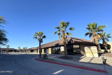 Lake View, Close Proximity to Downtown Havasu, Professional - photo 29