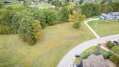 (private lake, pond, creek) Lot For Sale in Kingsport Tennessee