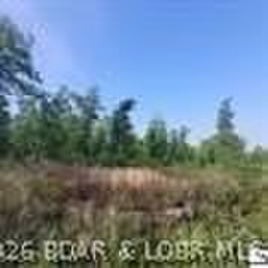 Discover the perfect blend of privacy, recreation, and - photo 3