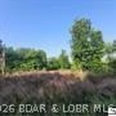 Discover the perfect blend of privacy, recreation, and - photo 5