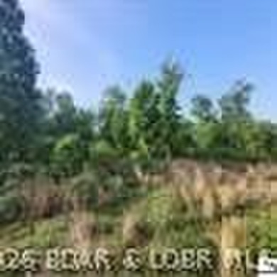 Discover the perfect blend of privacy, recreation, and - photo 6
