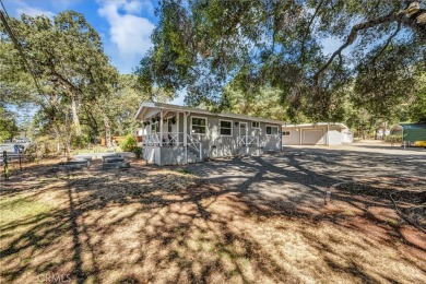 Lake Home For Sale in Clearlake Oaks, California