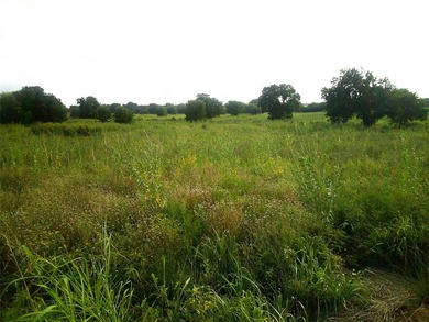 Oh my what a beautiful tract of land with large native Texas - photo 4