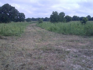 Oh my what a beautiful tract of land with large native Texas - photo 7