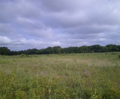 Oh my what a beautiful tract of land with large native Texas - photo 8