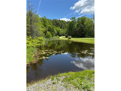 LIVING LIFE MORE ON SOMERSET LAKE!! Welcome to this beautifully - photo 7