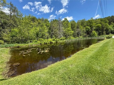 LIVING LIFE MORE ON SOMERSET LAKE!! Welcome to this beautifully - photo 8