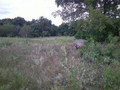 Oh my what a beautiful tract of land with large native Texas - photo 3
