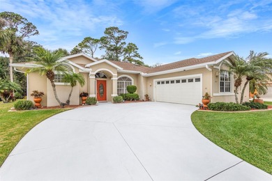 (private lake, pond, coastal) Home Sale Pending in New Smyrna Beach Florida