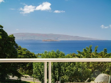 Makalii at Wailea 17B is a standout villa commanding the premier - photo 11
