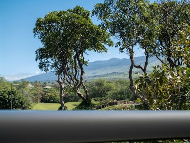 Makalii at Wailea 17B is a standout villa commanding the premier - photo 29