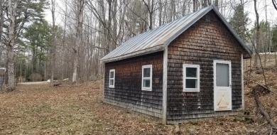 Clearwater Pond Home For Sale in Industry Maine