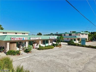 Exceptional mixed-use investment opportunity in the heart of - photo 40