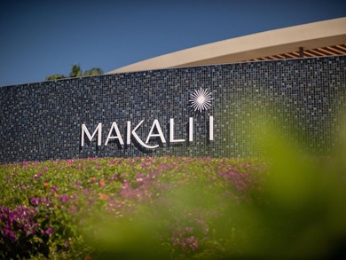 Makalii at Wailea 17B is a standout villa commanding the premier - photo 47