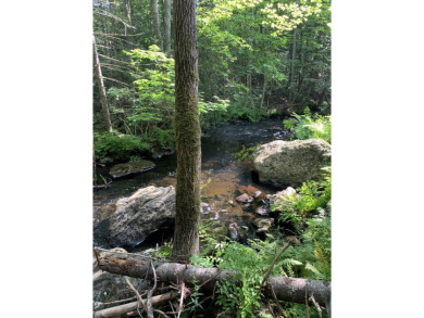 (private lake, pond, creek) Acreage For Sale in Waldo Maine