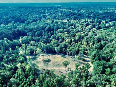 Beautiful hilltop homesite is waiting to build on, bring your - photo 11