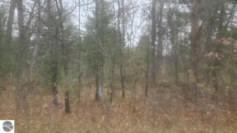 Forest Lake - Arenac County Lot For Sale in Alger Michigan