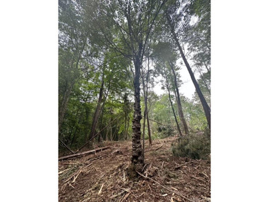 Beautiful hilltop homesite is waiting to build on, bring your - photo 21