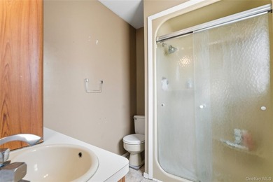Welcome to 116 Spruce Street in the heart of Massapequa Park - photo 21