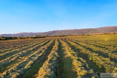 Teton Headwaters Ranch offers 425 contiguous acres in the heart - photo 4