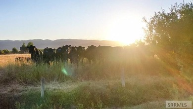 Teton Headwaters Ranch offers 425 contiguous acres in the heart - photo 5