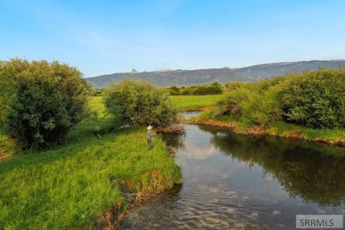 Teton Headwaters Ranch offers 425 contiguous acres in the heart - photo 6