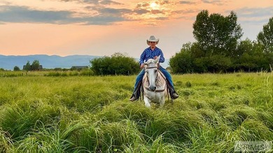 Teton Headwaters Ranch offers 425 contiguous acres in the heart - photo 7