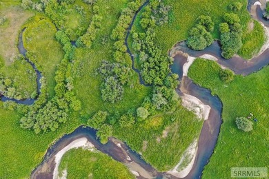 Teton Headwaters Ranch offers 425 contiguous acres in the heart - photo 8