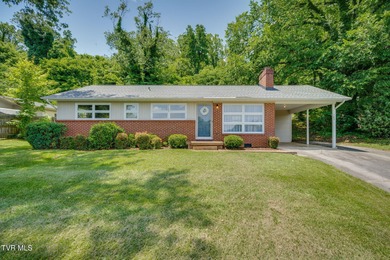 Patrick Henry Lake Home For Sale in Kingsport Tennessee