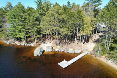 Pleasant River Lake Home For Sale in Beddington Maine
