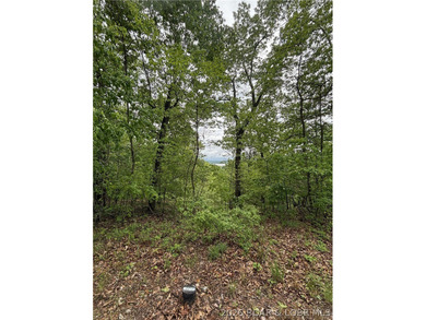Build your dream lake-area home on this spacious 2.2-acre - photo 2
