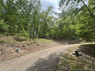Build your dream lake-area home on this spacious 2.2-acre - photo 3