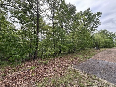 Build your dream lake-area home on this spacious 2.2-acre - photo 4