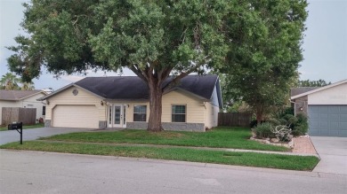 Lake Home For Sale in Riverview, Florida