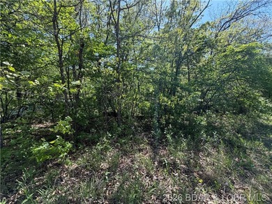 Come walk the property, explore the landscape, and see for - photo 4