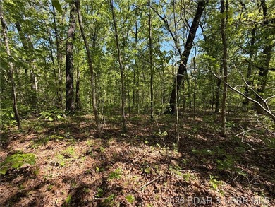 Come walk the property, explore the landscape, and see for - photo 7