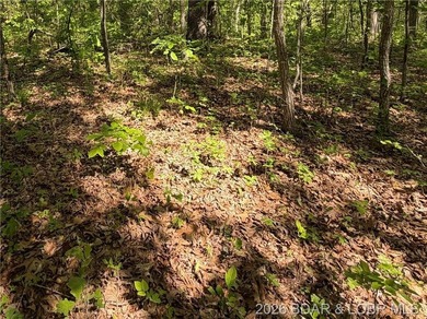 Come walk the property, explore the landscape, and see for - photo 8
