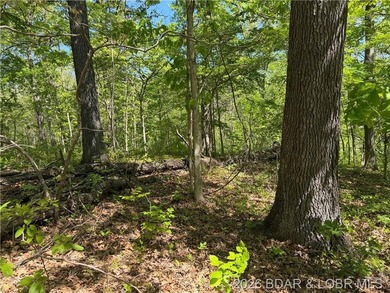 Come walk the property, explore the landscape, and see for - photo 9