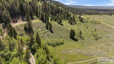 Discover the perfect opportunity to own 0.57 acres in beautiful - photo 1