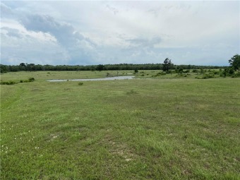 Lake Home Off Market in Muldoon, Texas