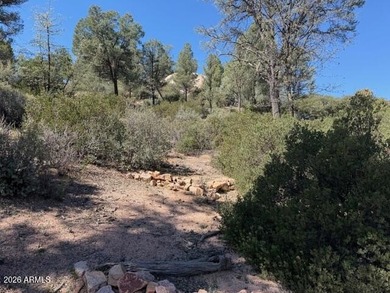 TERRIFIC MOGOLLON RIM, MONUMENT PEAK, & STEWART MOUNTAIN - photo 14